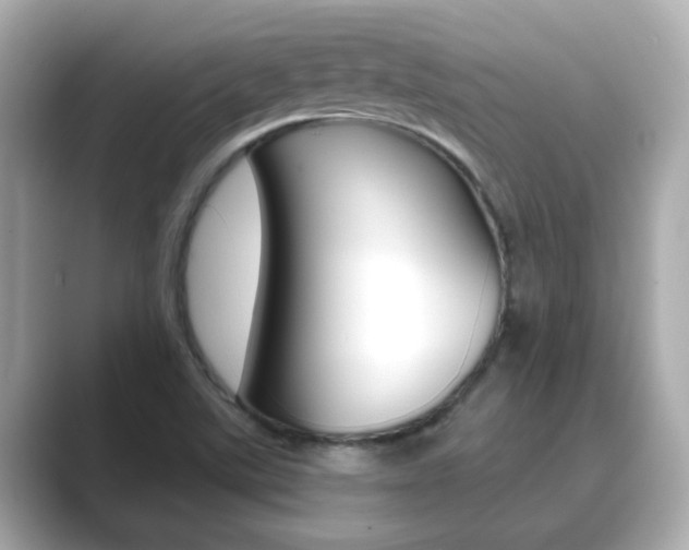 X0000089751507200706210913