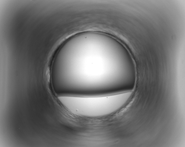 X0000089751509200706210913