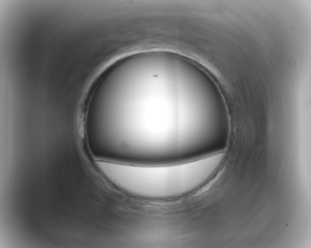 X0000089751510200706210913