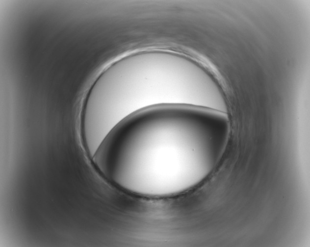 X0000089751512200706210913