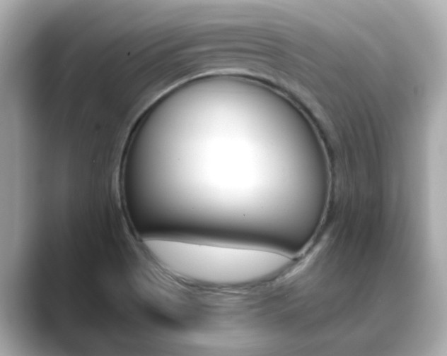 X0000089751513200706210913