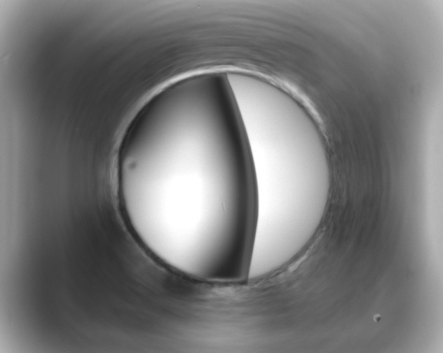 X0000089751516200706210913