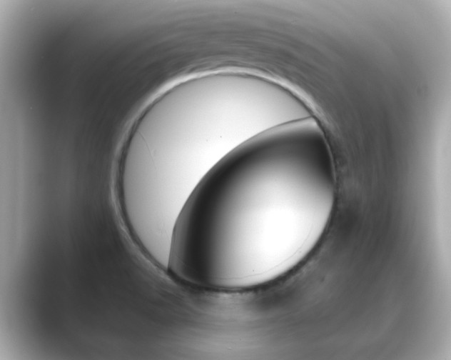 X0000089751518200706210913