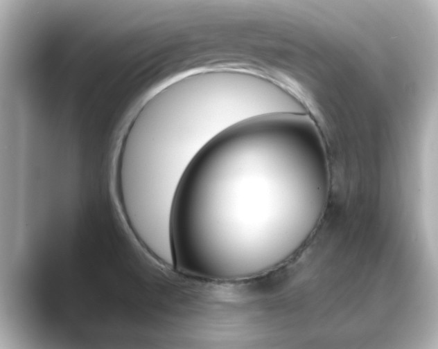 X0000089751520200706210914