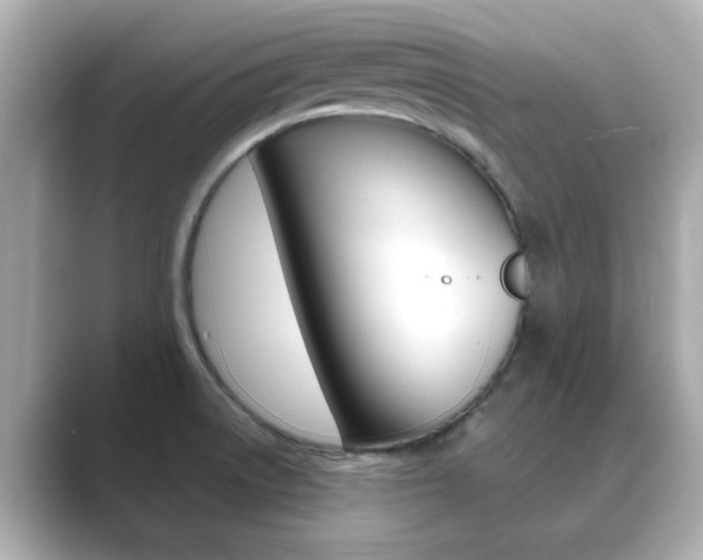 X0000089751522200706210914