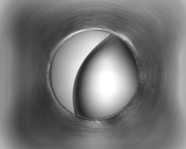 X0000089751524200706210914