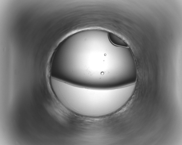 X0000089751526200706210914