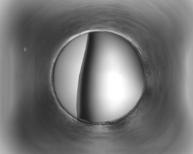 X0000089751527200706210914