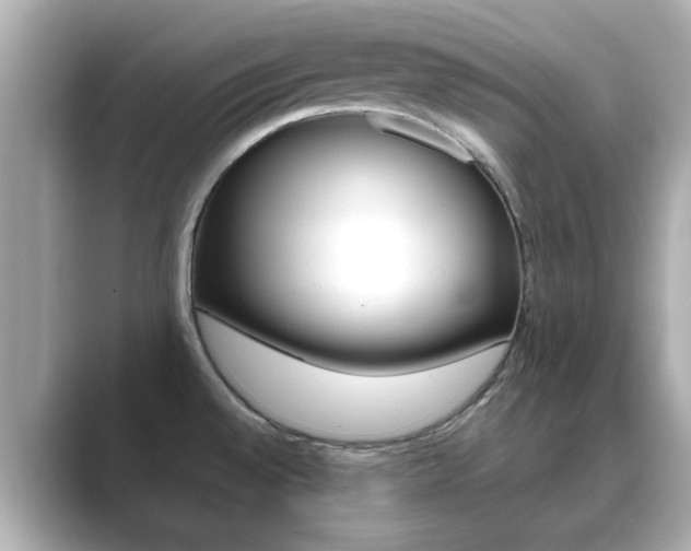 X0000089751528200706210914