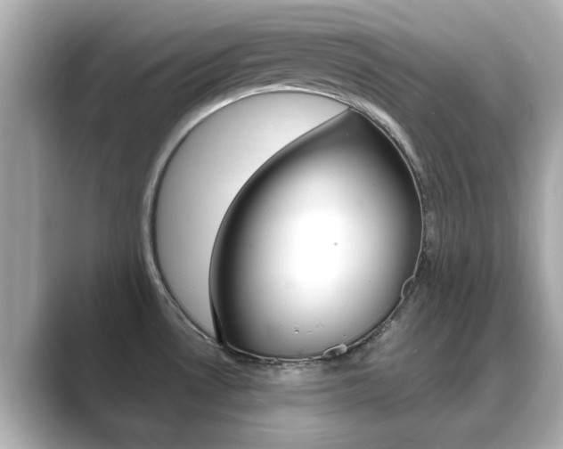 X0000089751530200706210914