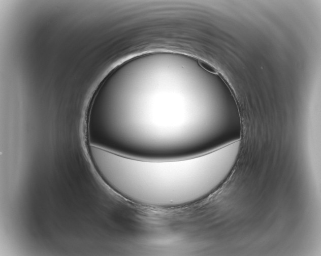 X0000089751531200706210914