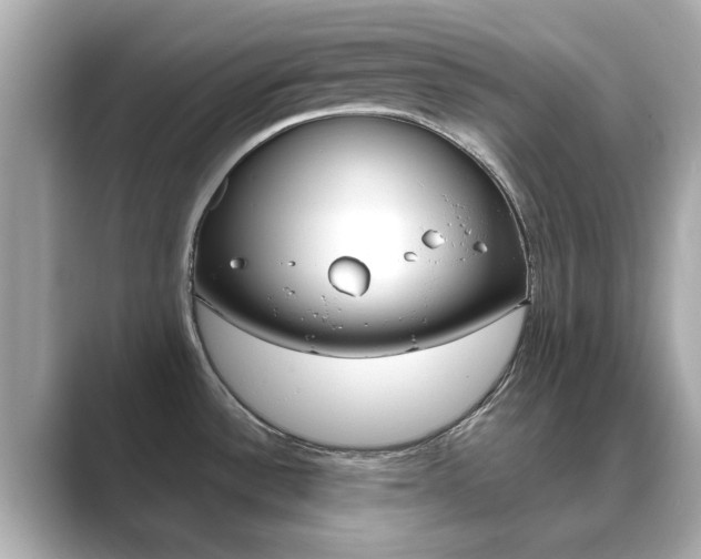 X0000089751532200706210914