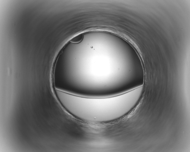 X0000089751533200706210914