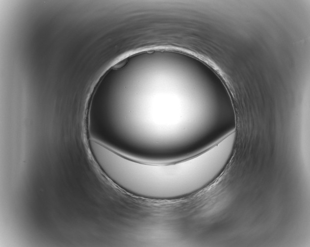 X0000089751534200706210914