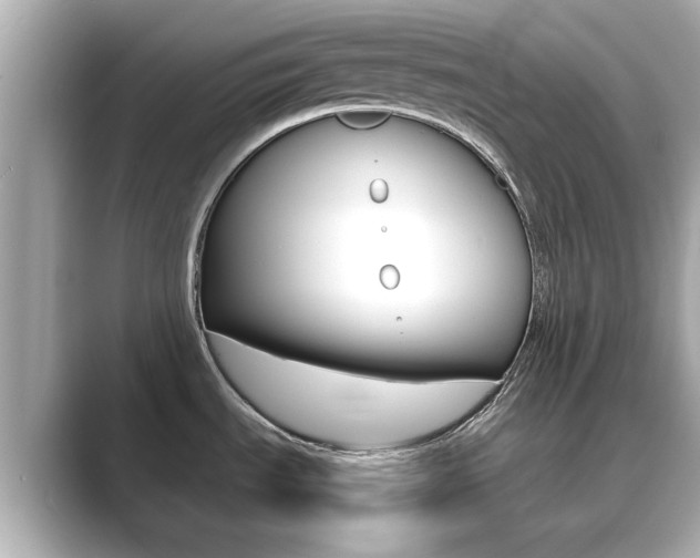X0000089751535200706210914