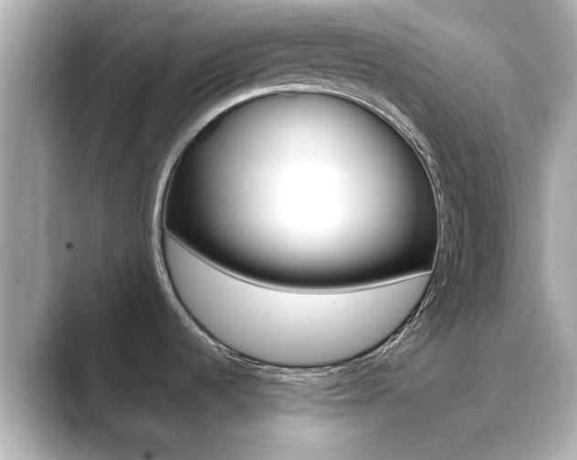 X0000089751536200706210914