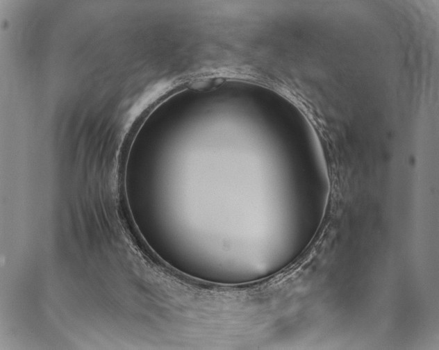 X0000089750008200706211538