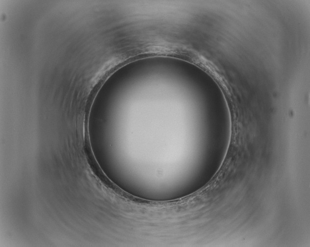 X0000089750011200706211538