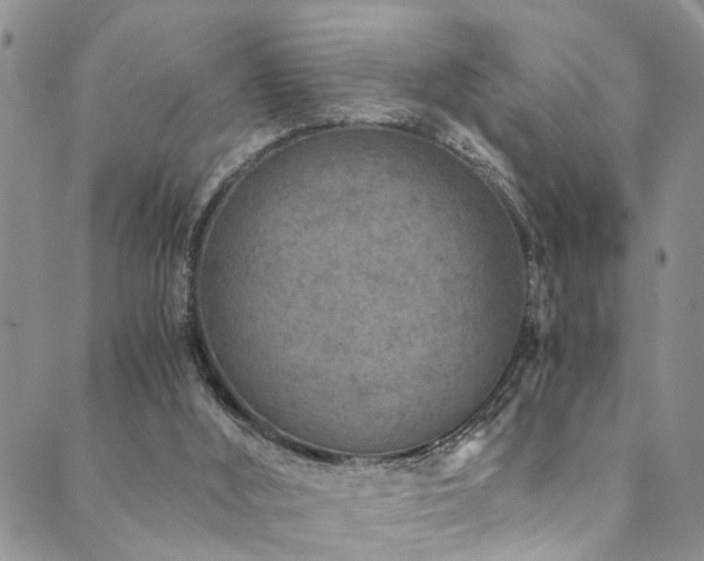 X0000089750012200706211538