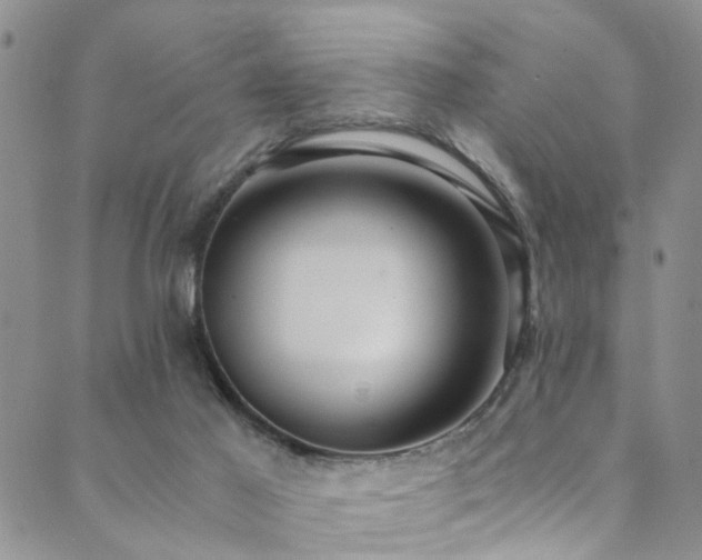 X0000089750021200706211538