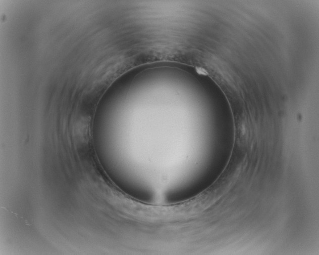 X0000089750034200706211538