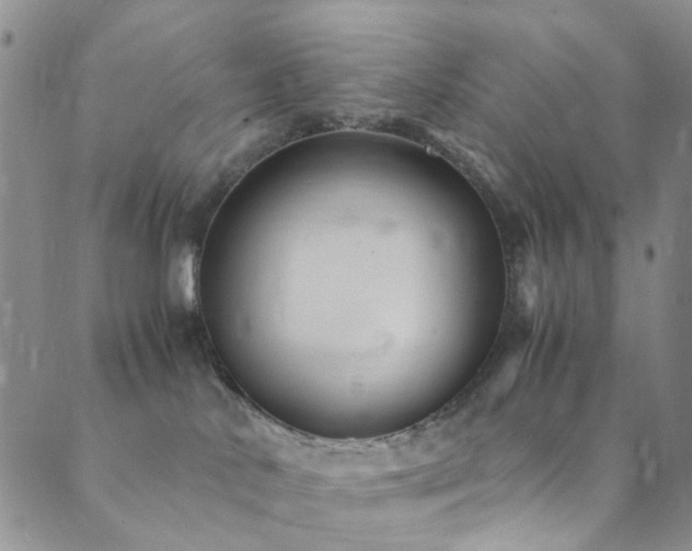X0000089750042200706211538