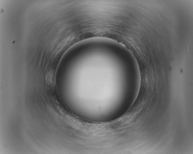 X0000089750044200706211538