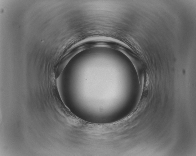 X0000089750045200706211538