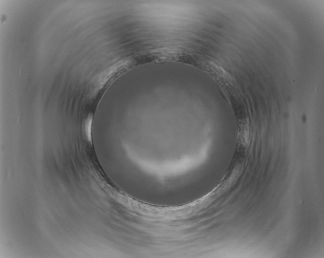 X0000089750047200706211538