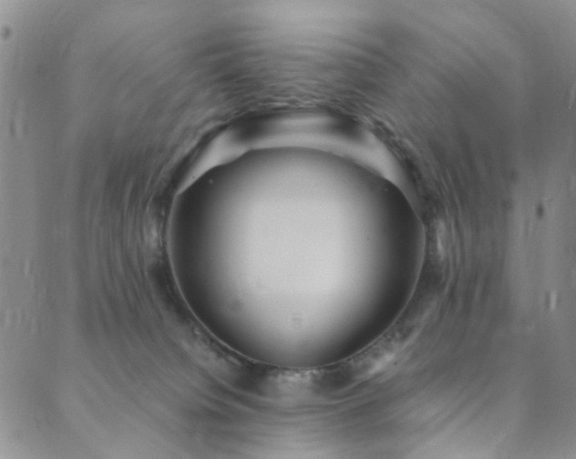 X0000089750084200706211538