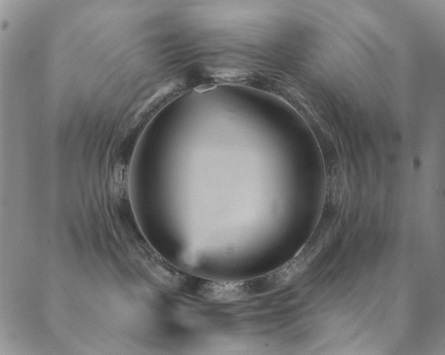 X0000089750093200706211538