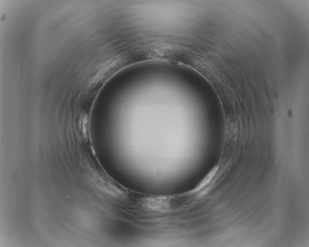 X0000089750094200706211538