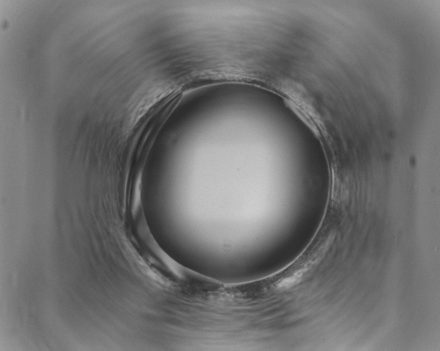 X0000089750109200706211537