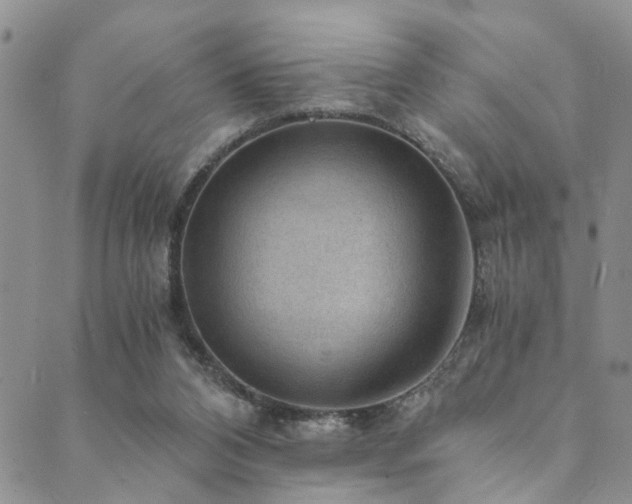 X0000089750112200706211537