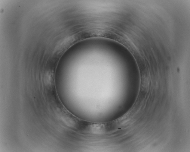 X0000089750126200706211537