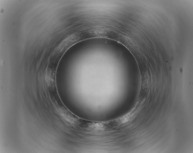 X0000089750140200706211536