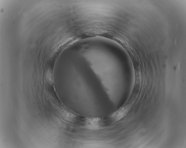 X0000089750143200706211536