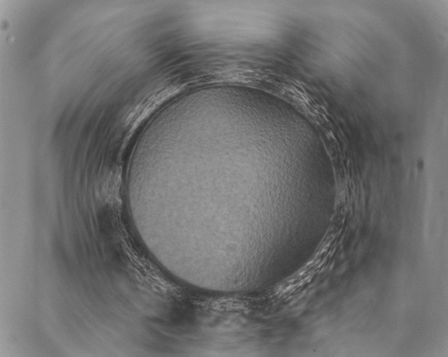 X0000089750146200706211536