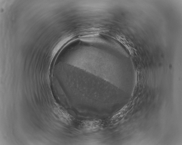 X0000089750147200706211536