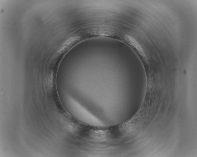 X0000089750163200706211536