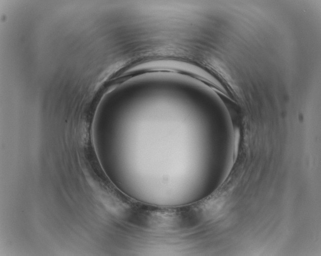 X0000089750164200706211536