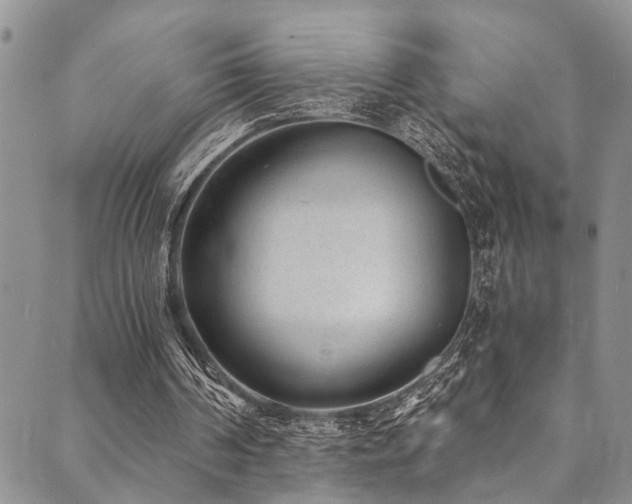 X0000089750194200706211535