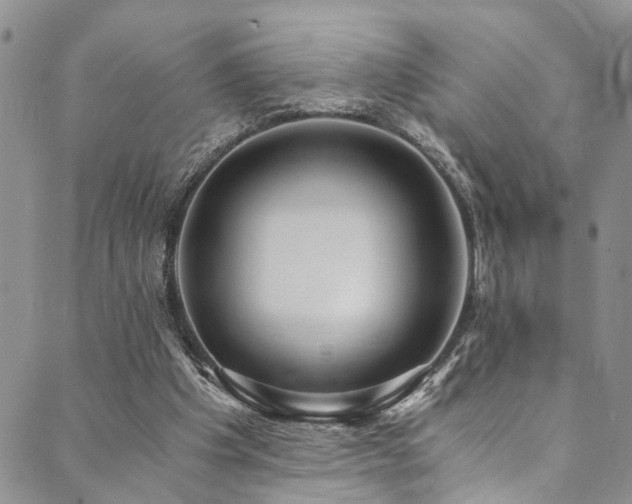X0000089750201200706211535