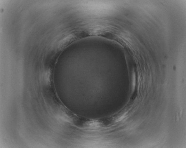 X0000089750219200706211535