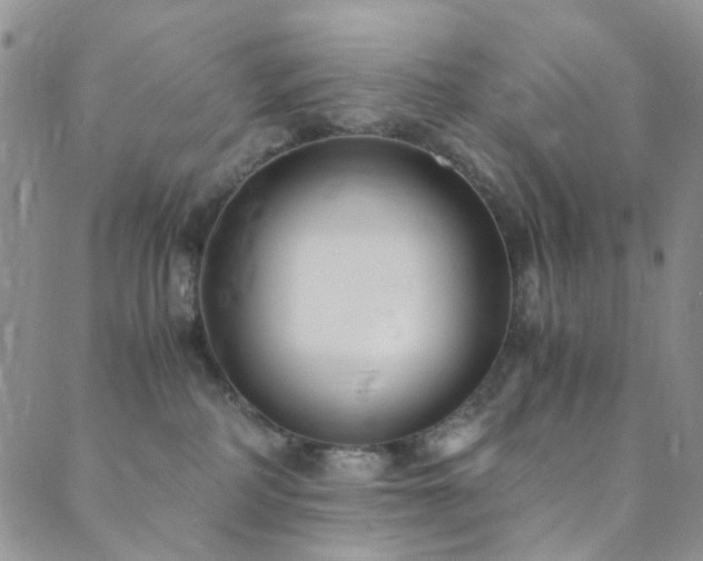X0000089750234200706211535