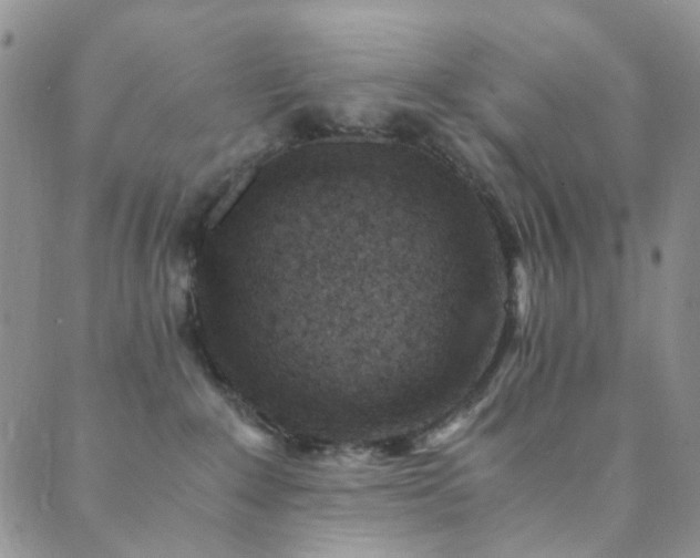 X0000089750235200706211535