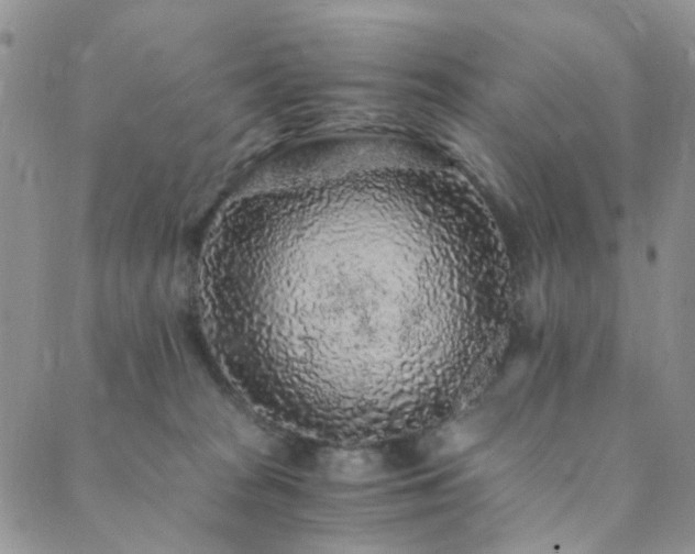 X0000089750277200706211535