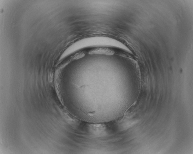 X0000089750281200706211535