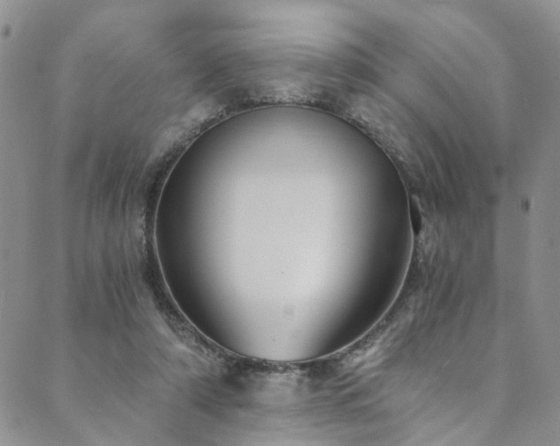 X0000089750306200706211534