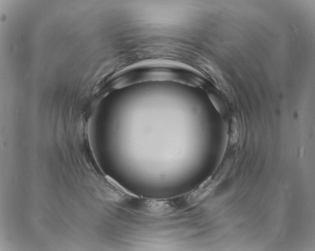 X0000089750333200706211533